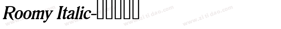 Roomy Italic字体转换